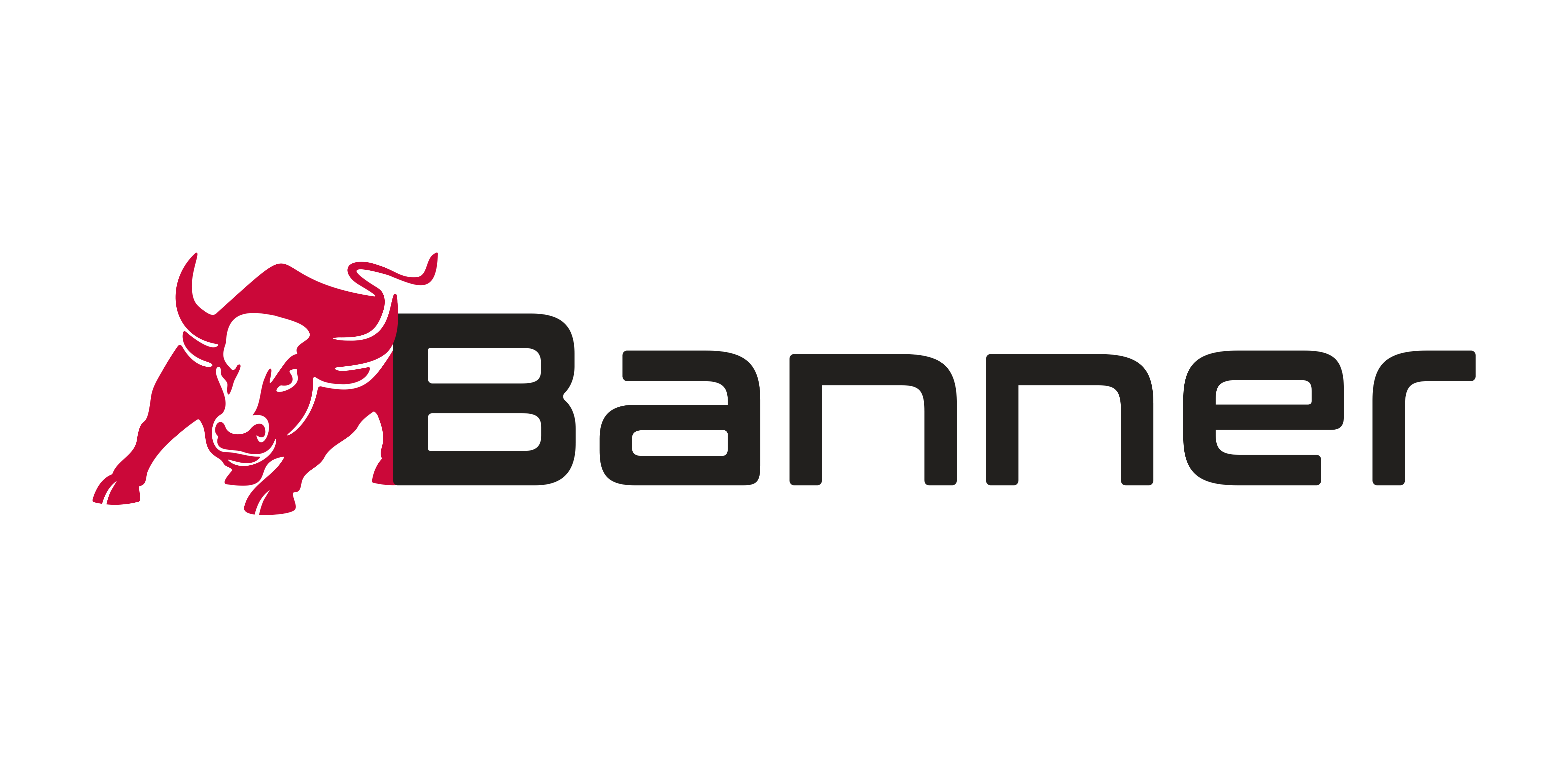 Banner Logo